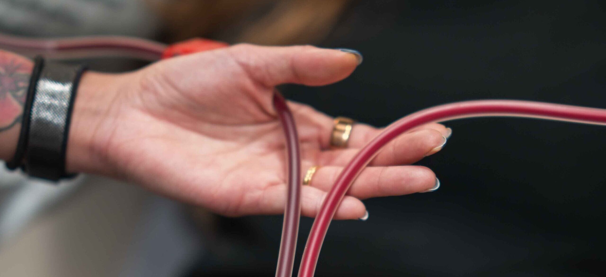 EBOO Blood Cleansing through Filtration