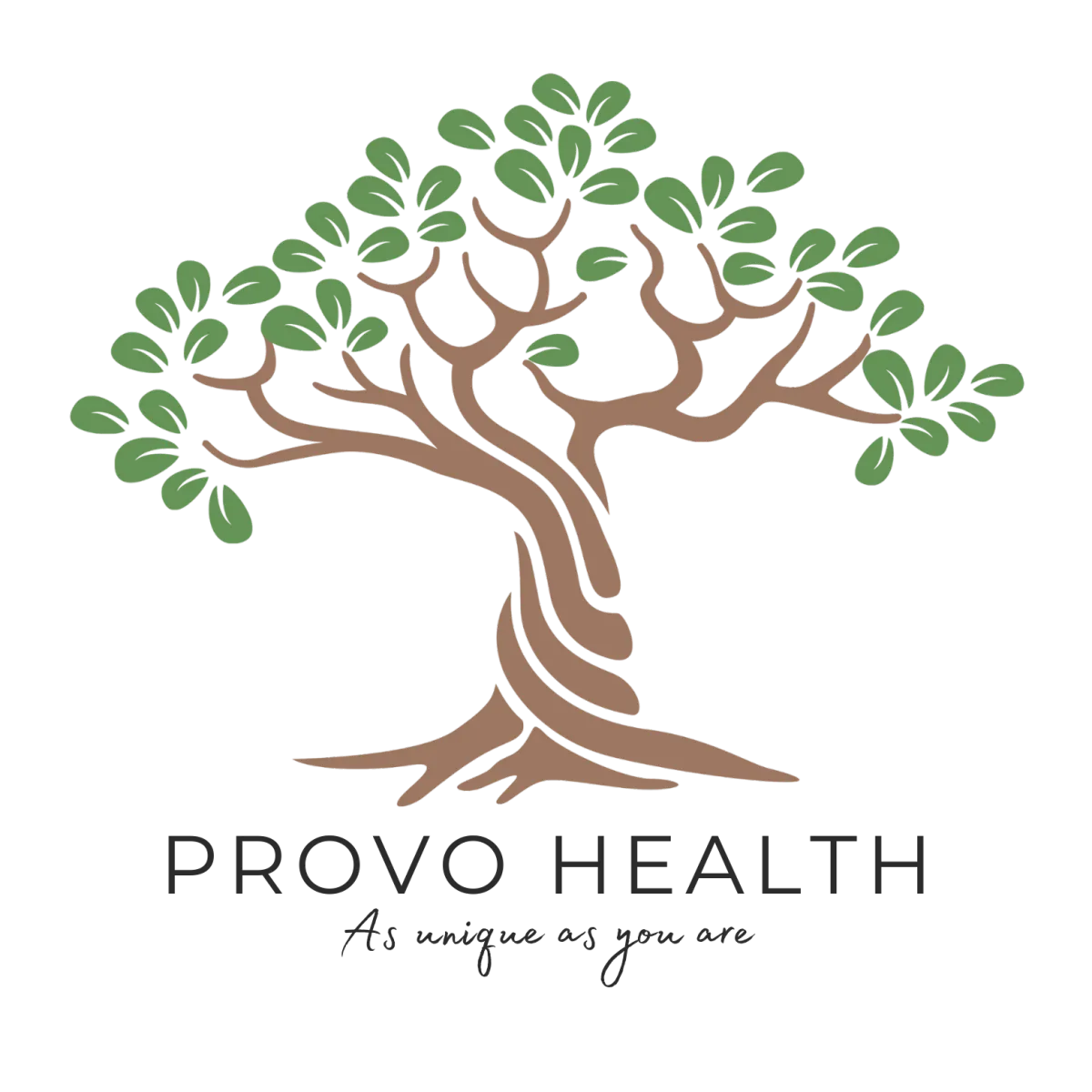 Provo Helalth Logo